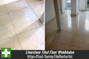 Limestone Tiled Floor Strip and Seal in Wimbledon