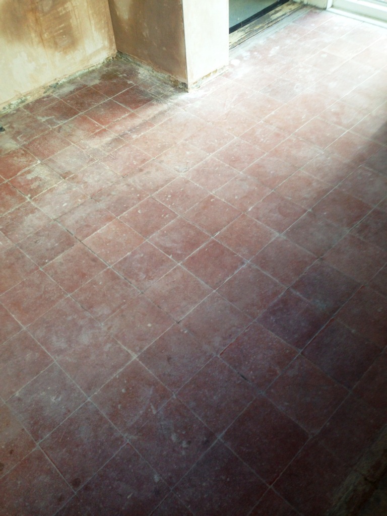 Quarry Tile Cleaning Before